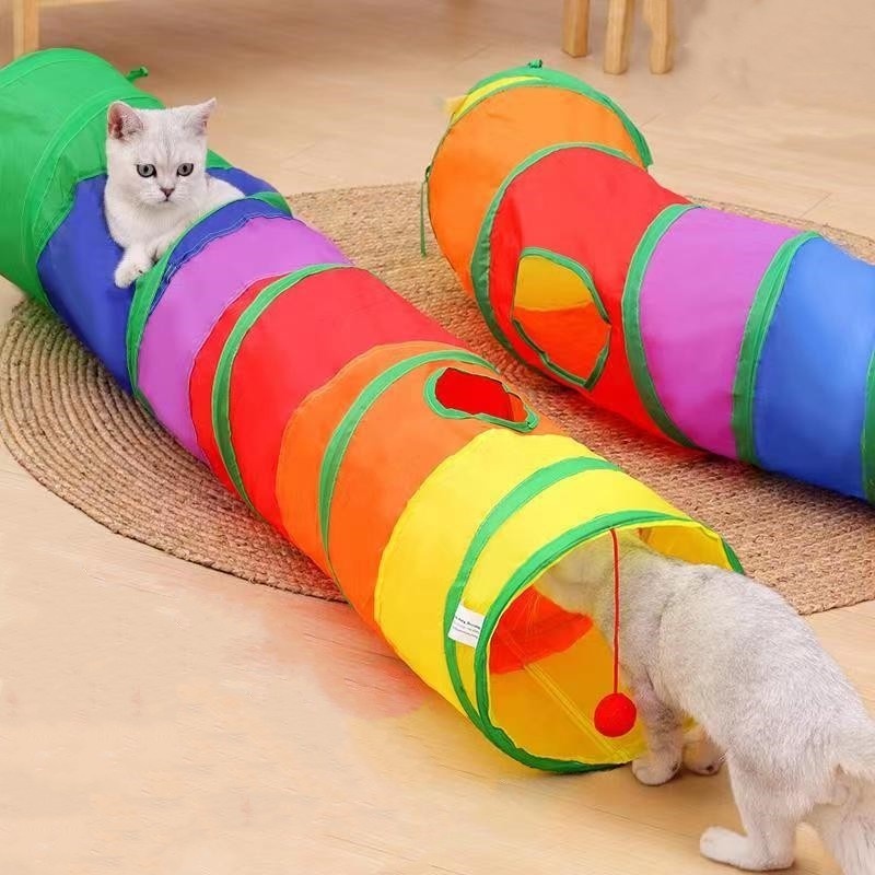 Túnel para Pets.